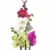 3x echte Phalaenopsis Orchideen 2 Triebe - 50 bis 70cm groß - Schmetterlingsorchidee wunderschöne blühende Tischpflanzen Blumen Geschenkset Naturprodukt - 6