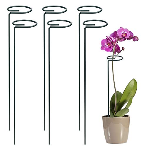 FT-SHOP Pflanzensttze, Orchideenstab, 40cm - Orchideen.eu