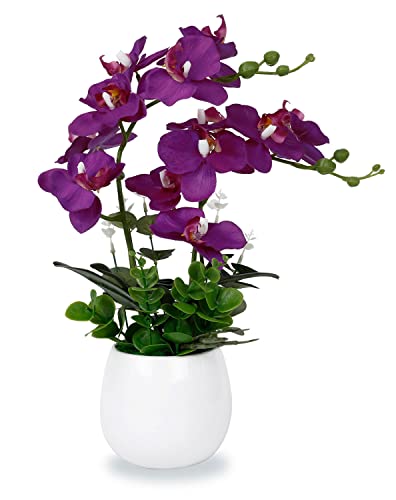 Knstliche Orchideen im Topf - Orchideen.eu