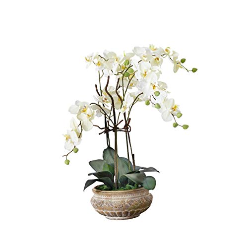 künstliche wimpern wiederverwendbar Künstliche Wimpern Big Lash Love Natural (1 Paar), 1 St main image 1